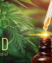 Onlinemarketing Logo