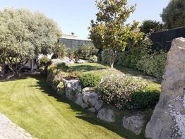 Giardino con prato verde, pietre, cespugli fioriti e alberi sotto un cielo azzurro.