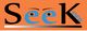 Logo with "SeeK info" on an orange background, featuring stylized eyes in the letters "ee".