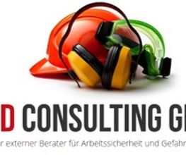 Wild Consulting GmbH Logo