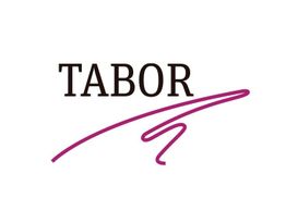 Logotipo que dice "TABOR" con una línea curva púrpura debajo.