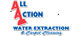All Action Water Extraction & Carpet Cleaning logo with red and blue text.