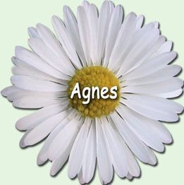 Gänseblümchen mit dem Namen "Agnes" in weißer Schrift auf den gelben Blütenmitte.