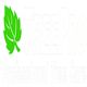 Green leaf logo with "TREEPRO Professional Tree Care" text.