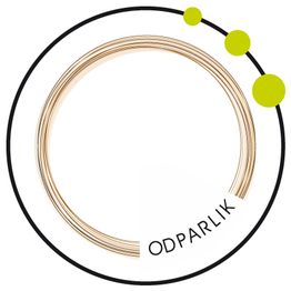 Rundlogo mit gelben Kreisen, Text "ODPARLIK" am Rand. Minimalistisches Design.