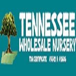 Tennessee Wholesale Nursery logo with tree illustration on a turquoise background.