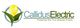 Callidus Electric logo with a lightbulb in a leaf, slogan: "Powering You to a Greener Future."