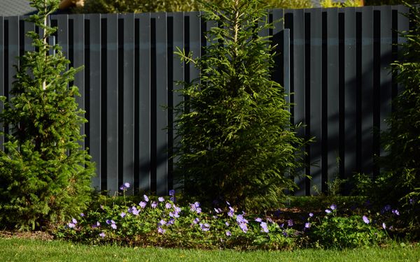 Im Hintergrund ist ein WPC-Sichtschutzzaun zu sehen. Im Vordergrund ist ein kleines Beet mit drei kleinen Tannenbäumen.