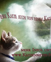 Katzennetze-NRW Logo