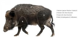 Bild eines Wildschweins mit markierten Fleischteilen: Nacken, Rücken, Keule, Blatt.