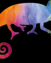 Das bunte Chamäleon Logo