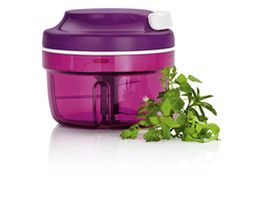 Tupperware-Beraterin Logo