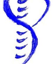 Feldenkrais Bremen Logo