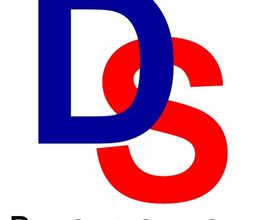 DS-Dienstleistungen Logo
