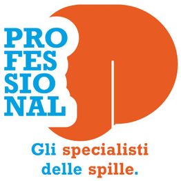 Logo con testo "PROFESSIONAL" e "Gli specialisti delle spille." su sfondo arancione.