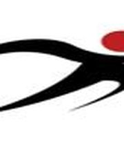 SEO Deutschland Logo