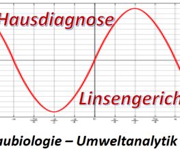 hausdiagnose linsengericht Logo
