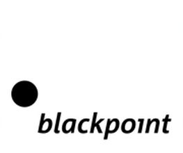 Black Point Arts Internet Solutions GmbH Logo