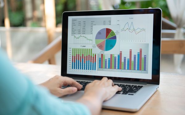Person arbeitet an einem Laptop mit Tabellen, Diagrammen und Auswertungen in Excel.