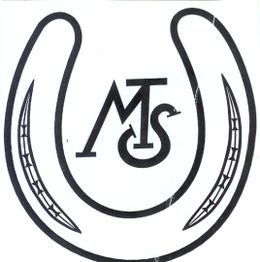 Hufeisen-Logo mit den Buchstaben "MTS" in der Mitte.