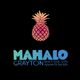Gradient pineapple above "MAHALO GRAYTON" logo for beach gear and rentals on black background.