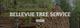 Stacks of logs with "Bellevue Tree Service" text overlay.