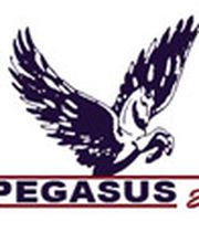 Pegasus24 Logo