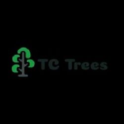 Logo with a stylized green tree and text "TC Trees" on a black background.