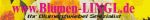 Gelbes Werbebanner mit Text: "www.Blumen-LINGL.de – Ihr Blumenspezialist seit 1949".