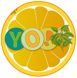 Logo mit "YO!" auf einer Orangenscheibe und Blättern, grafisch gestaltet.