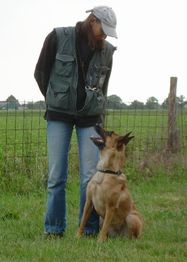 Person mit Hund auf einer Wiese; der Hund schaut die Person an, beide stehen vor einem Zaun.