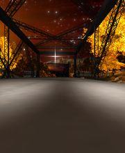 3D-Racing Online Demo