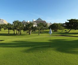 Campo de golf con césped verde, palmeras y edificios al fondo bajo un cielo azul.