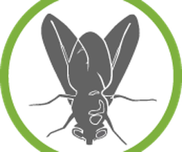 STUDIO FLY Logo