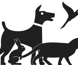Kleintierpraxis Logo