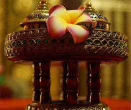 Bei PhanThai Wellness erwarten sie ausschließlich exzellent ausgebildete thailändische Masseurinnen mit langjähriger Erfahrung im Bereich traditioneller Thai- und Wellness-Massagen. Erleben Sie die „Kunst der heilsamen Berührung“ hautnah!