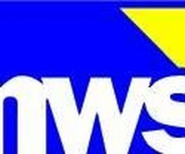 Manfred W. Scheins Logo