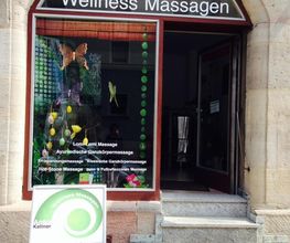 Dragon Fly Massage on the Road Logo