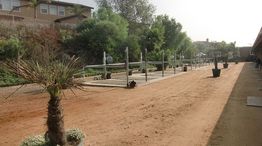 Outdoor garden area with potted plants and structures, bordered by houses and trees.