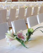 Wir verleihen edle Stuhlhussen