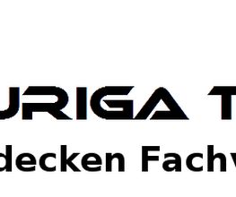 Aurigateam Logo