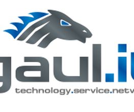 GAUL.IT Logo