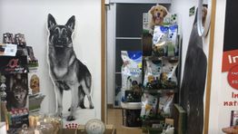 Tienda de productos para perros con carteles, alimentos y adornos alusivos a caninos.