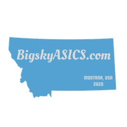 Blue silhouette of Montana with "BigskyASICs.com" and "MONTANA, USA 2020" text.