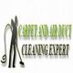 Silhouette of a person with a vacuum next to "Carpet and Air Duct Cleaning Expert" text.
