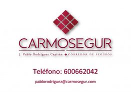 Logotipo de Carmosegur con contacto: Tel. 600662042, correo pablorodriguez@carmosegur.com.