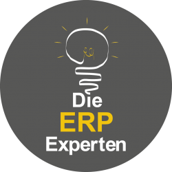 Graues Logo mit Glühbirne und Text: „Die ERP Experten“.