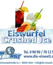 DIE EISWELT Eiswürfel & Crushed Ice Logo