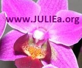 Kartenlegerin JULIEa Logo
