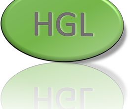 HGL-Zetel Logo